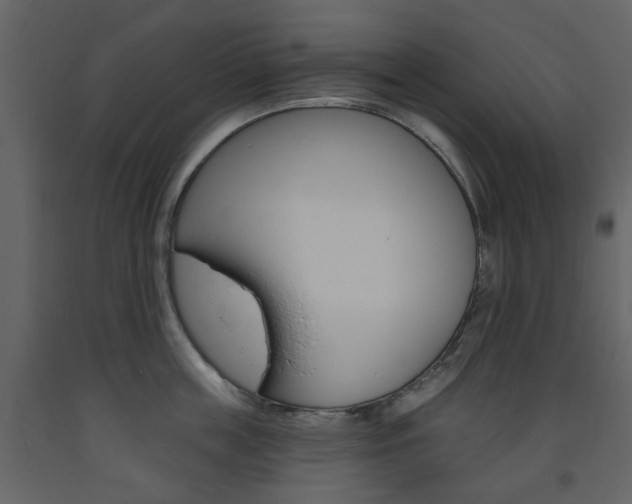 X0000094070859200710190954