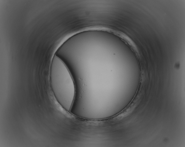 X0000094070860200710190954