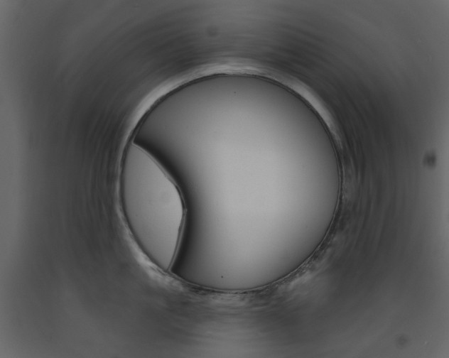 X0000094070861200710190954