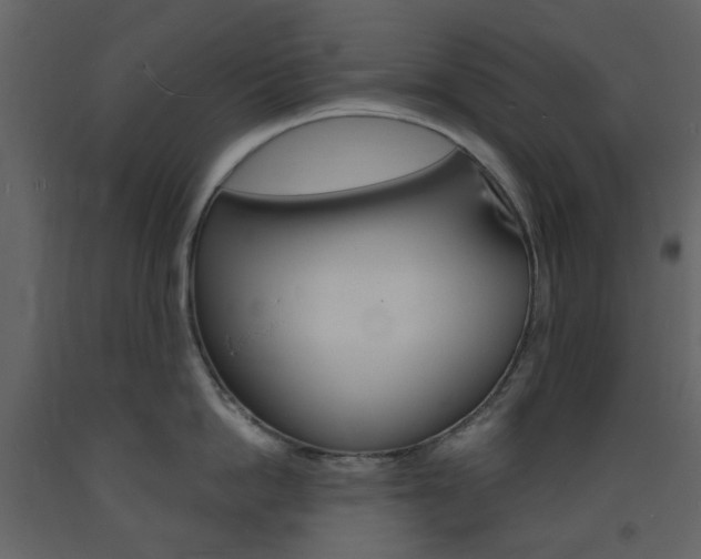 X0000094070862200710190954