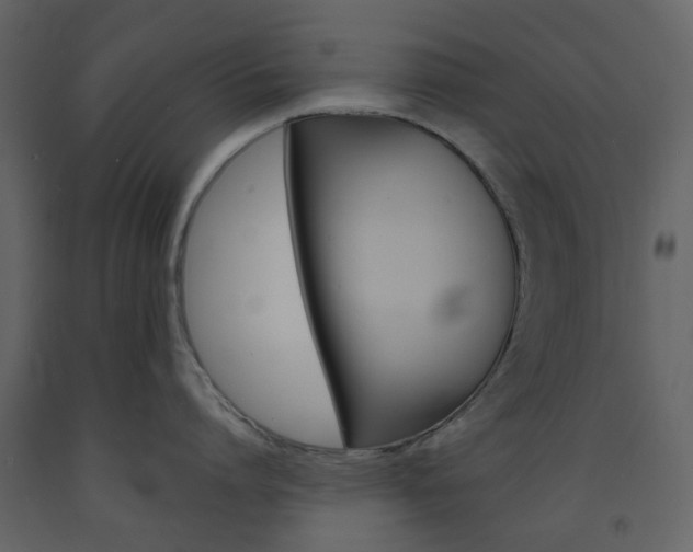 X0000094070864200710190954