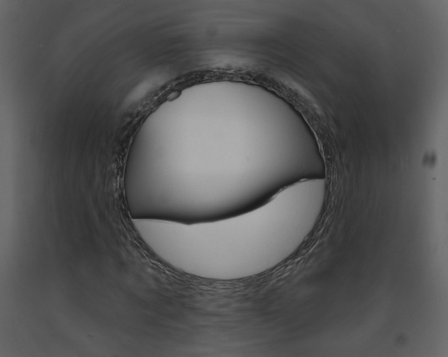 X0000094070869200710190953