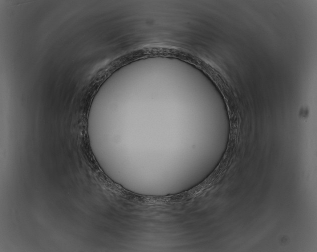 X0000094070870200710190953