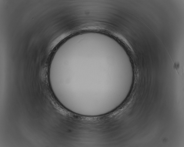 X0000094070874200710190953