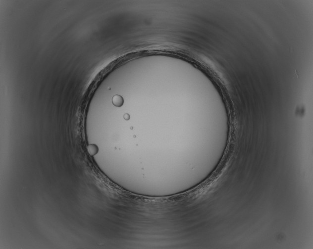 X0000094070875200710190953