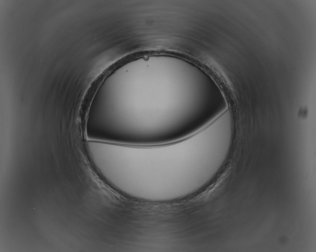 X0000094070876200710190953