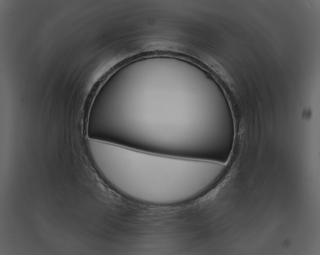 X0000094070877200710190953