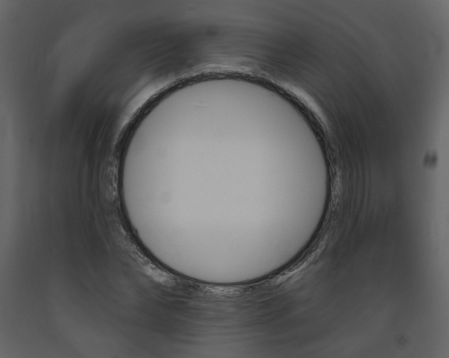 X0000094070878200710190953