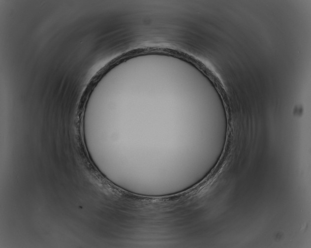 X0000094070879200710190953