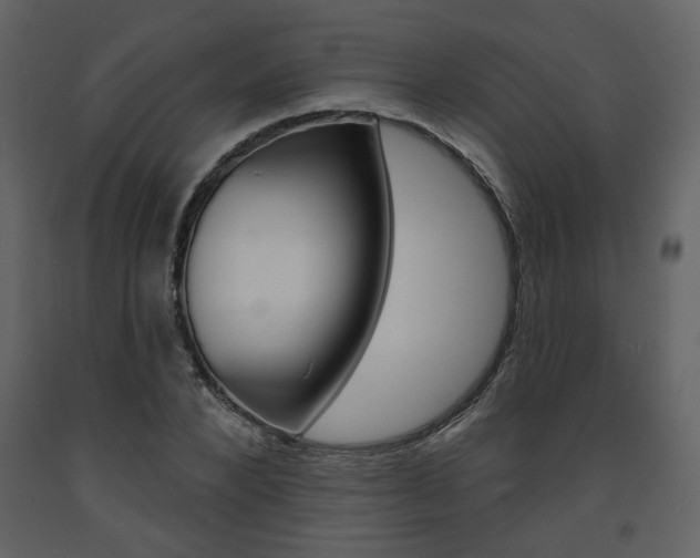 X0000094070880200710190953