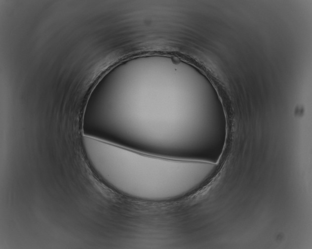 X0000094070881200710190953