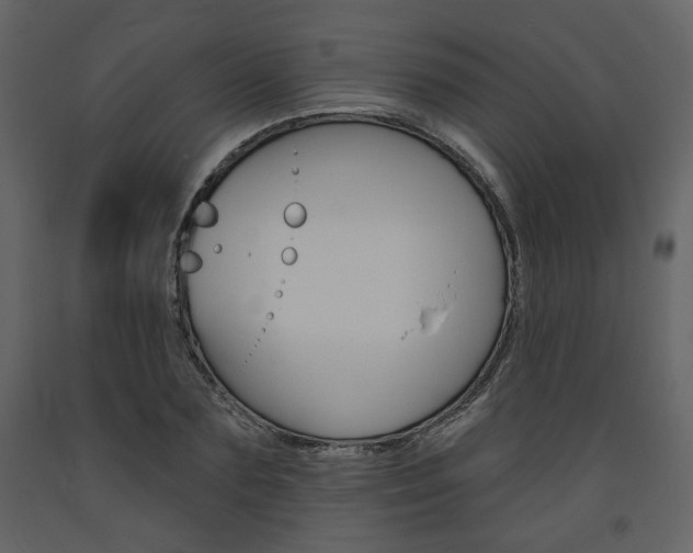 X0000094070883200710190953