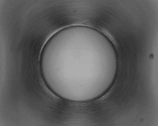 X0000094070884200710190953