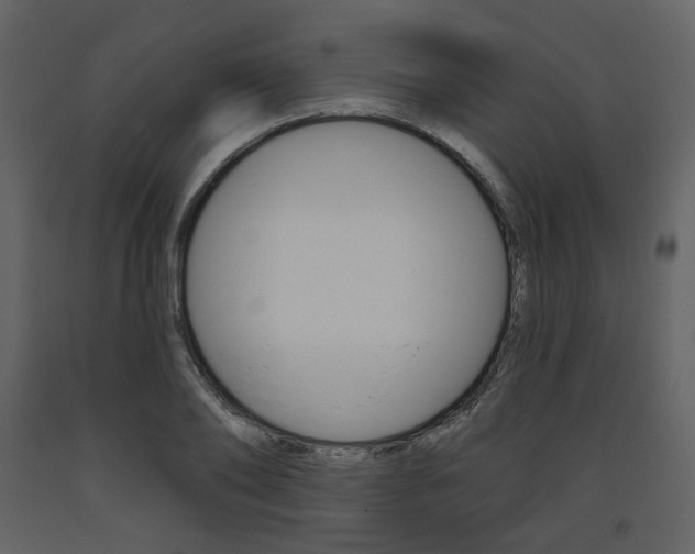 X0000094070886200710190953