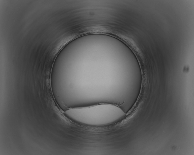 X0000094070889200710190953