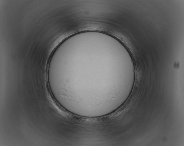 X0000094070890200710190953