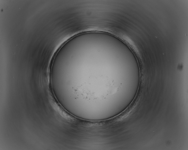 X0000094070892200710190953