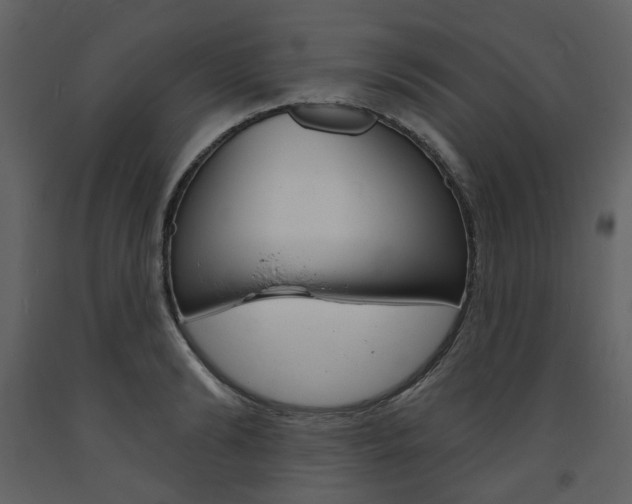 X0000094070894200710190953