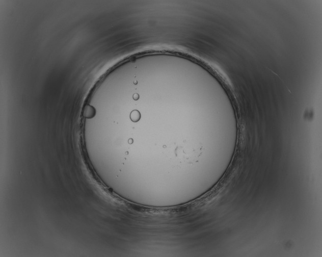 X0000094070895200710190953