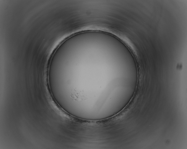 X0000094070896200710190953