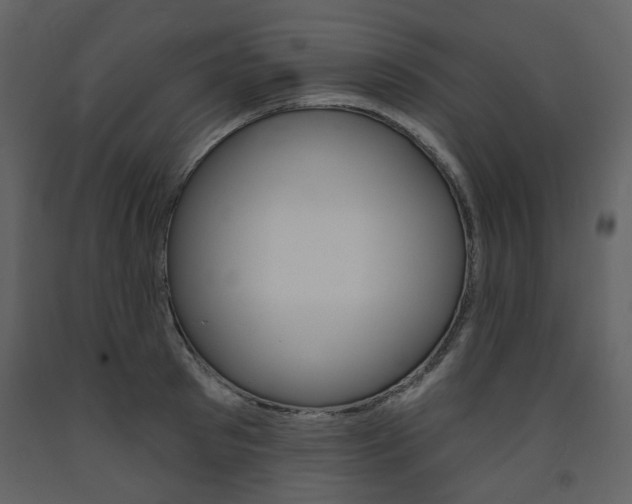 X0000094070897200710190953