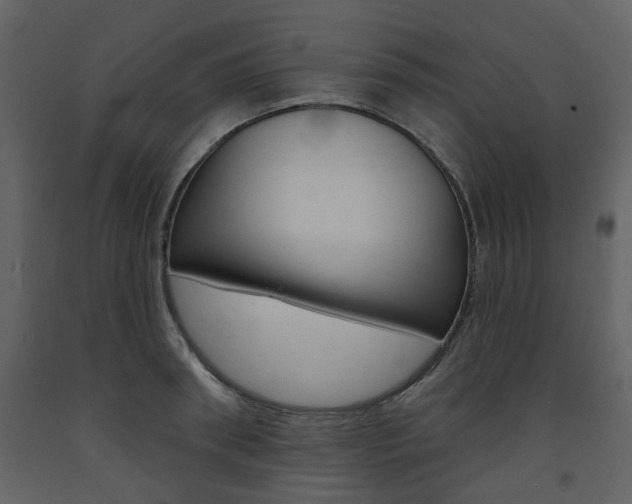 X0000094070898200710190953