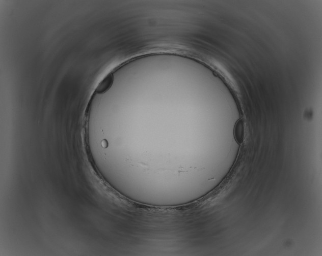 X0000094070899200710190953