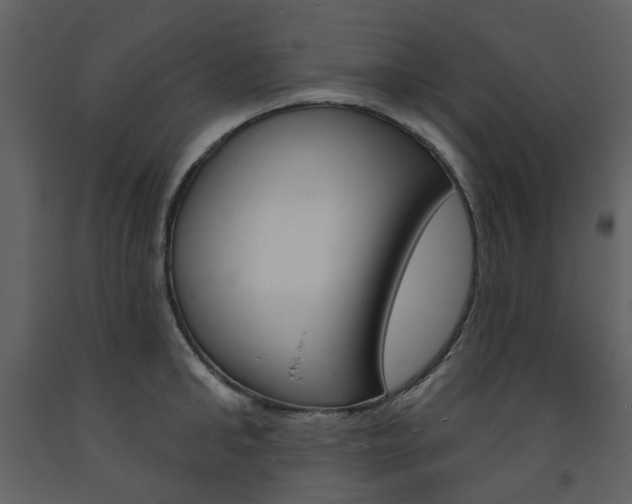 X0000094070902200710190953