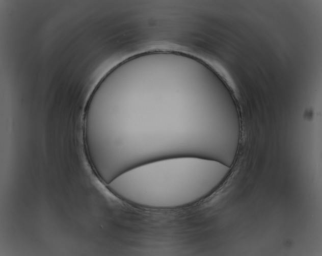 X0000094070903200710190953