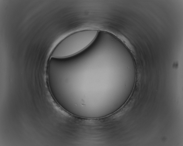 X0000094070904200710190953