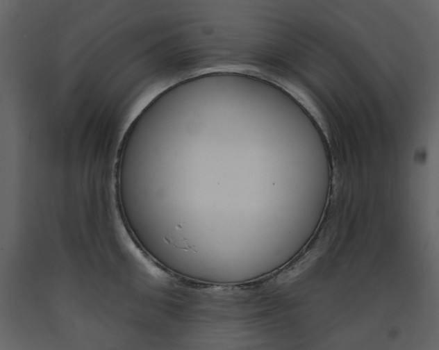 X0000094070906200710190953