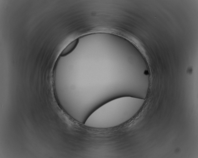 X0000094070907200710190953