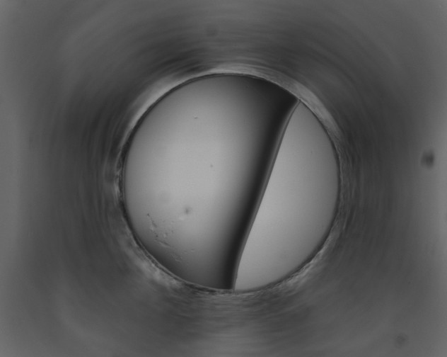 X0000094070908200710190953