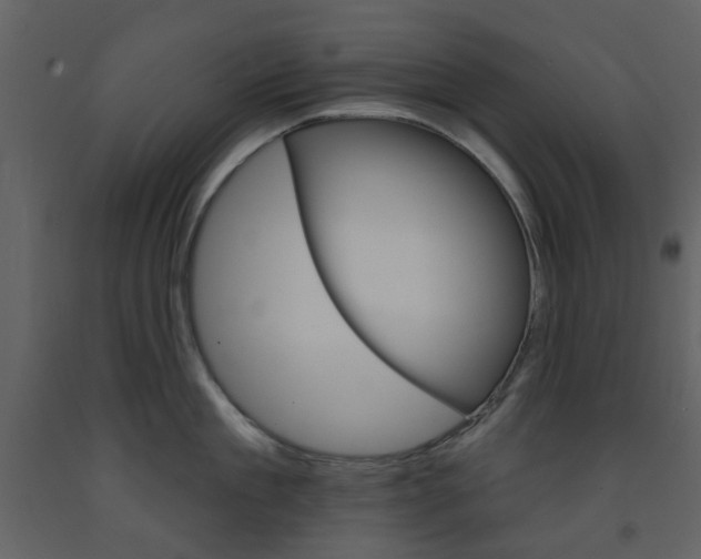 X0000094070909200710190953