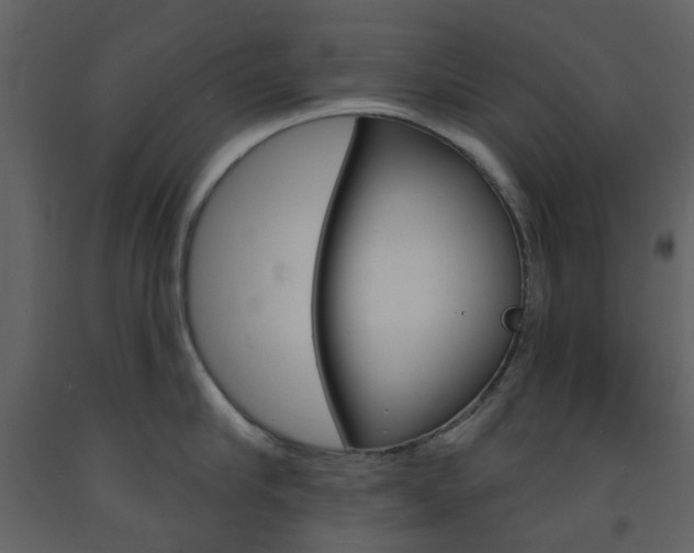 X0000094070910200710190953