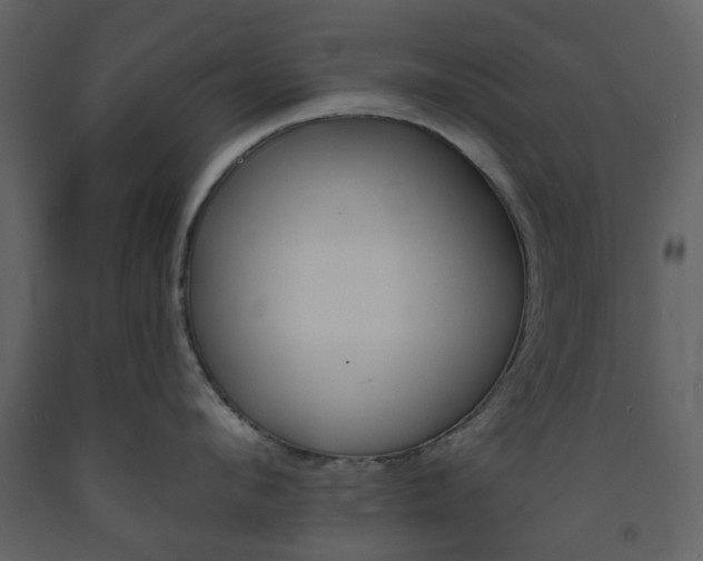 X0000094070912200710190953