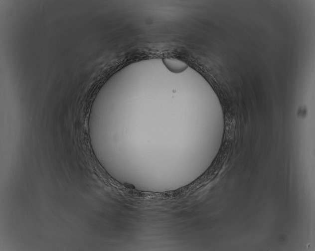 X0000094070913200710190952