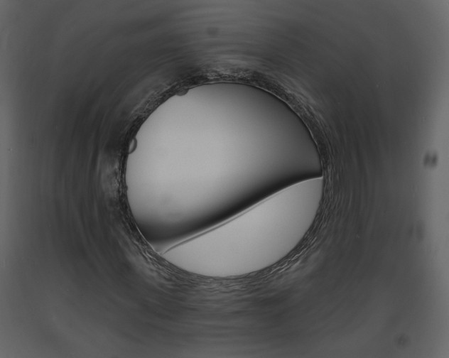 X0000094070915200710190952