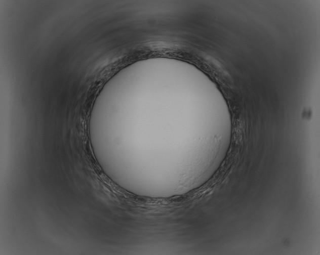 X0000094070917200710190952