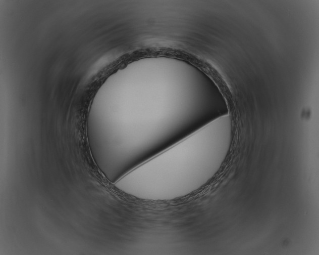 X0000094070919200710190952