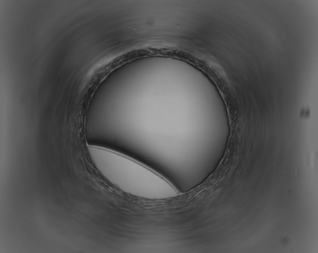 X0000094070920200710190952
