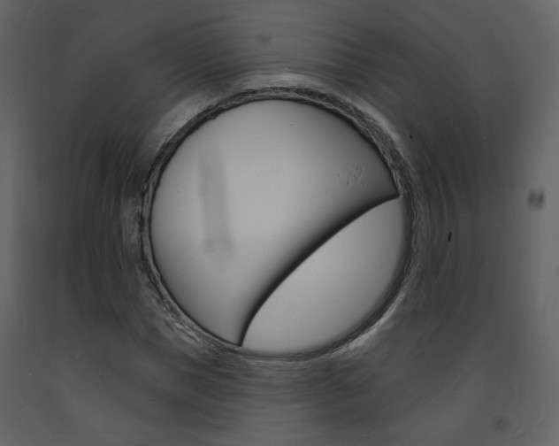 X0000094070921200710190952
