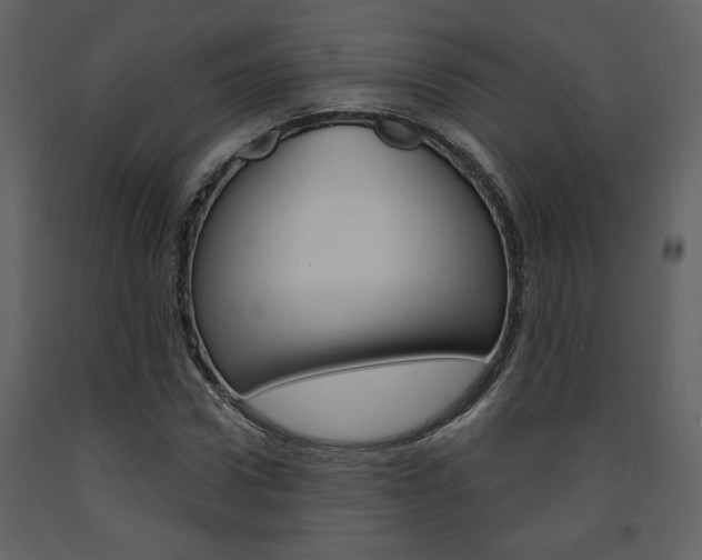 X0000094070922200710190952