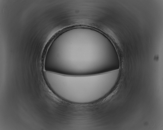 X0000094070924200710190952