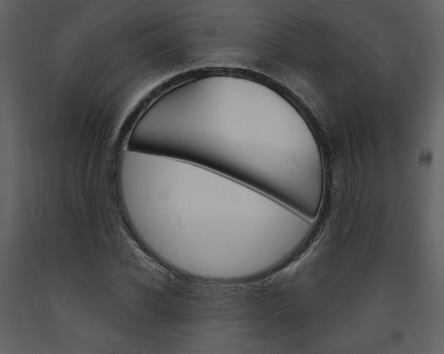 X0000094070926200710190952