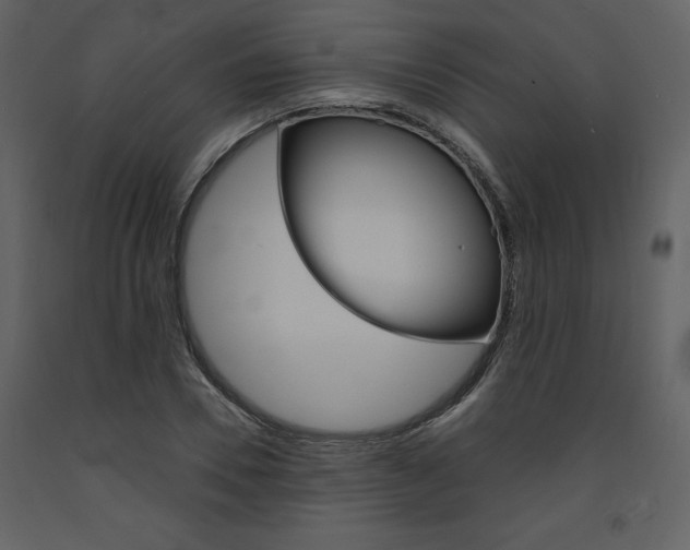 X0000094070930200710190952