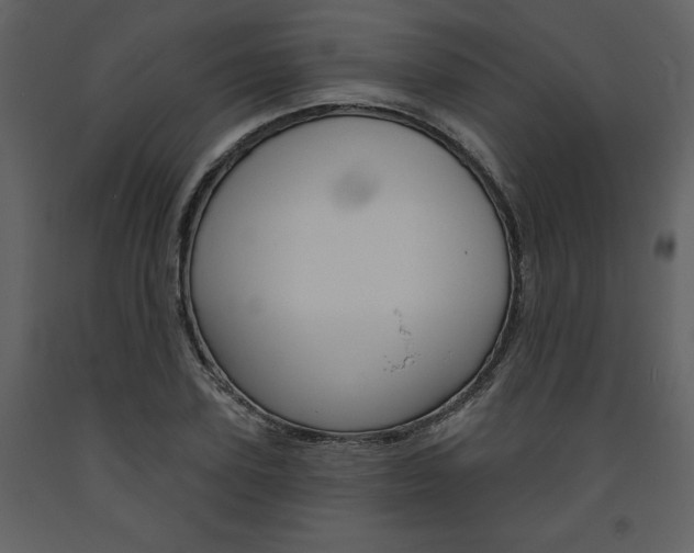 X0000094070931200710190952