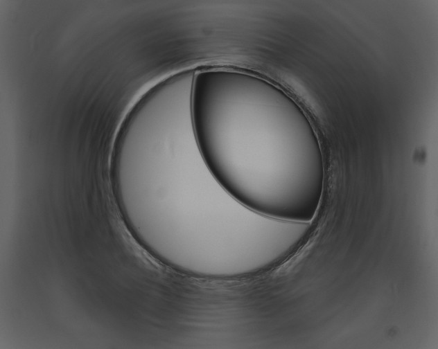 X0000094070932200710190952