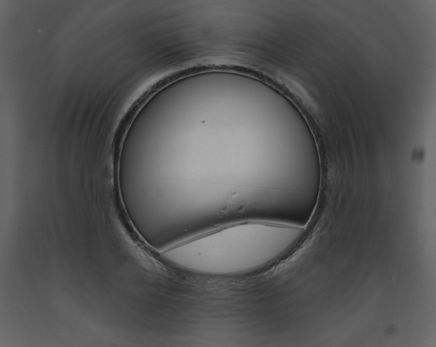 X0000094070934200710190952