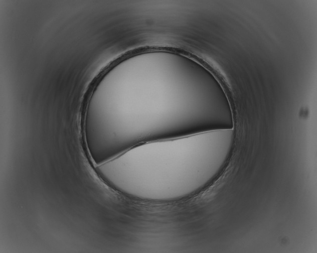 X0000094070935200710190952